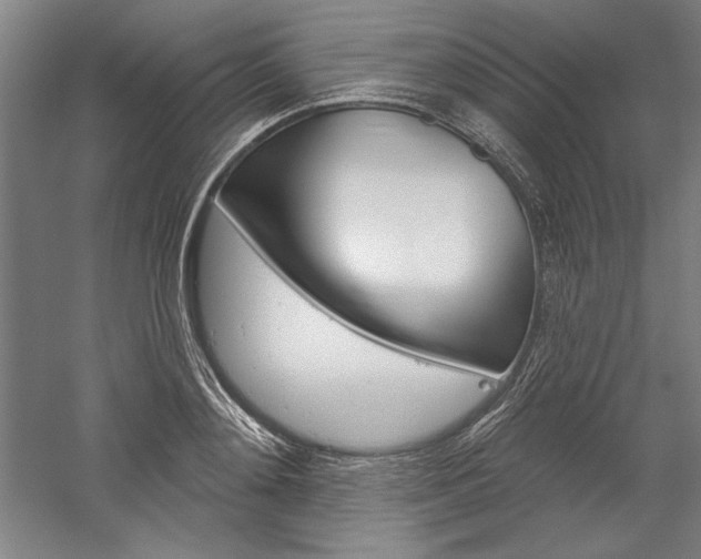 X0000060220892200510280908