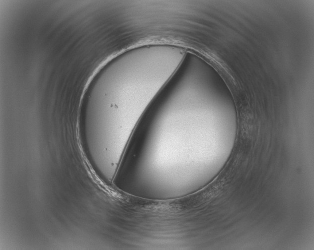 X0000060220896200510280908