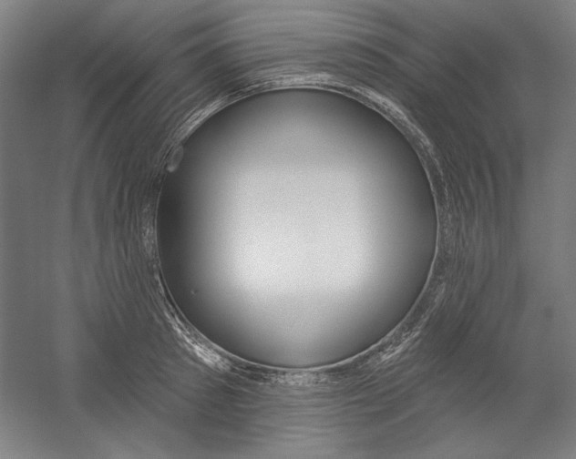 X0000060220897200510280908