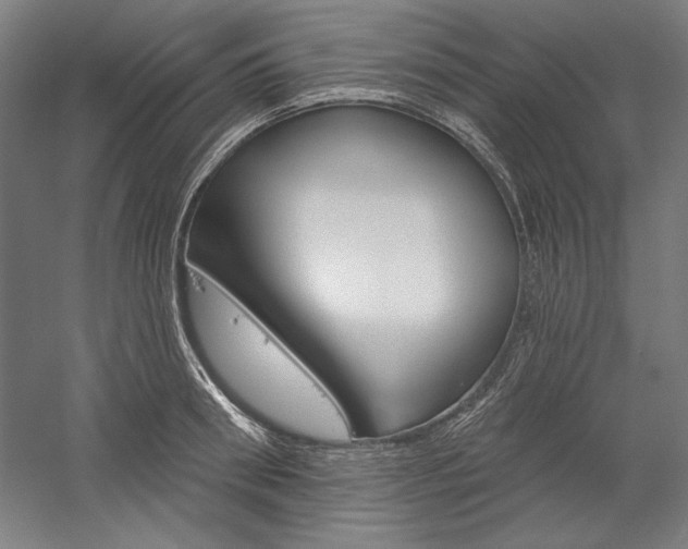 X0000060220898200510280908