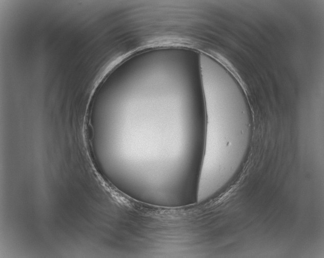 X0000060220901200510280908