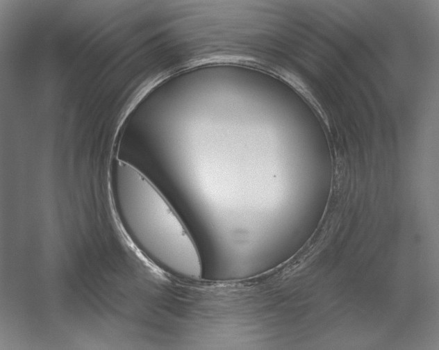 X0000060220906200510280908