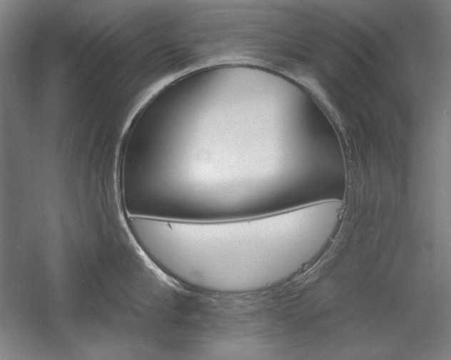 X0000060220910200510280908