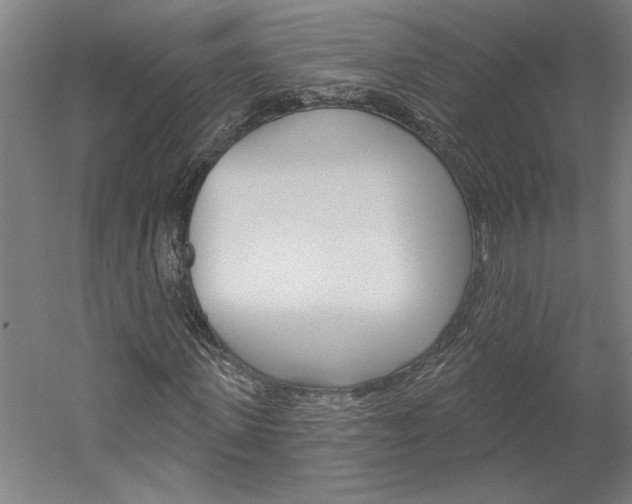 X0000060220915200510280907