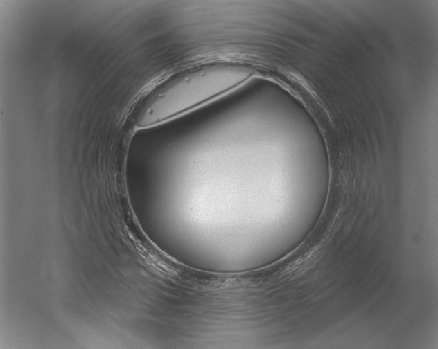 X0000060220922200510280907