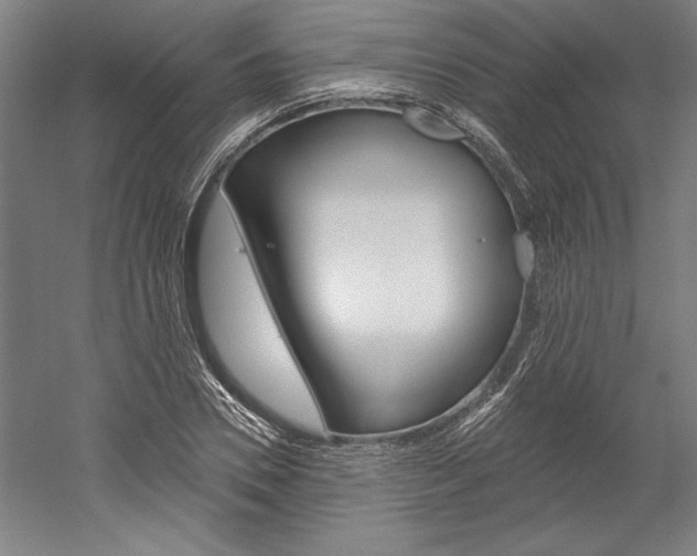 X0000060220930200510280907