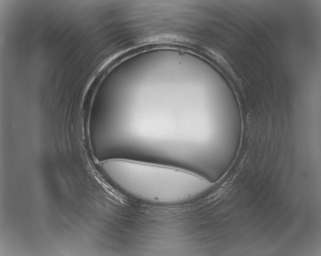 X0000060220931200510280908
