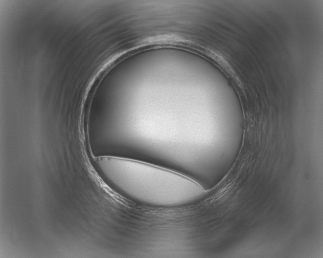 X0000060220939200510280908
