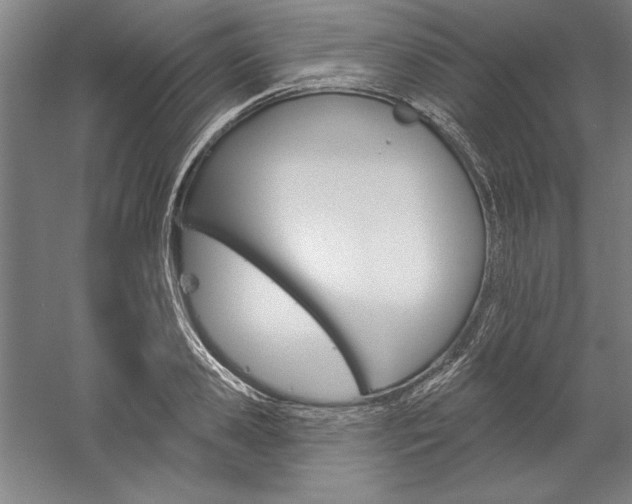 X0000060220941200510280908