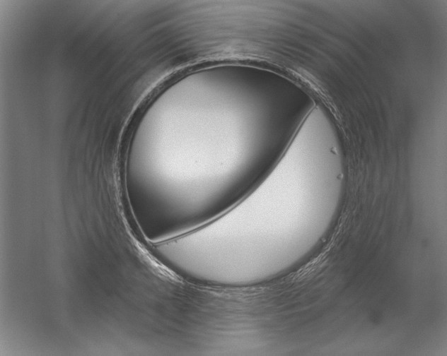 X0000060220942200510280908