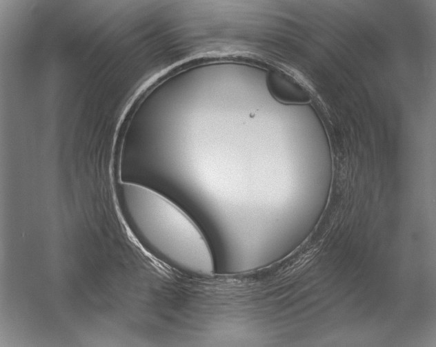 X0000060220943200510280908