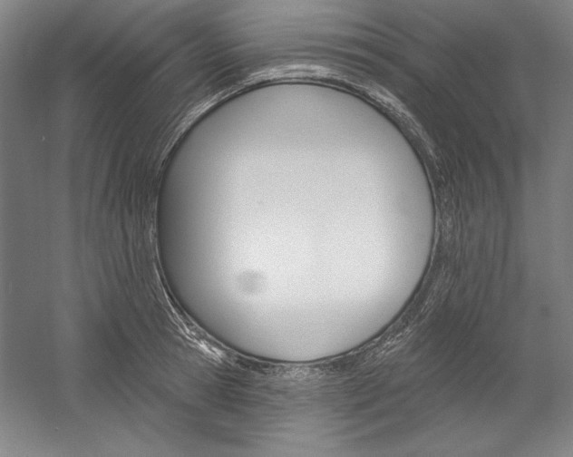 X0000060220945200510280908