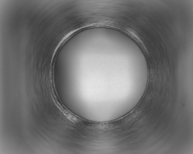 X0000060220948200510280908