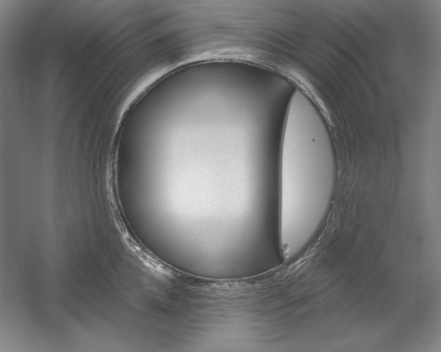 X0000060220952200510280908