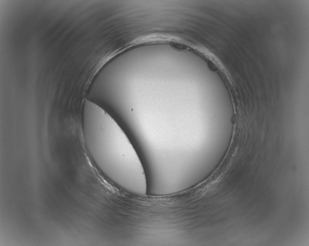 X0000060220953200510280908
