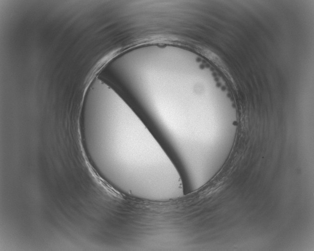 X0000060220954200510280908