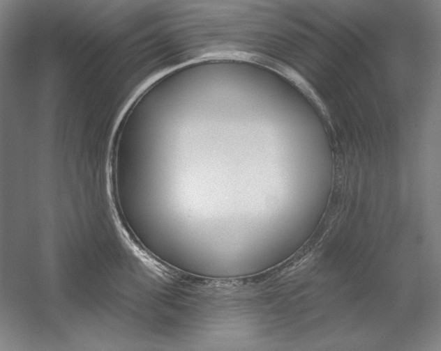 X0000060220955200510280908