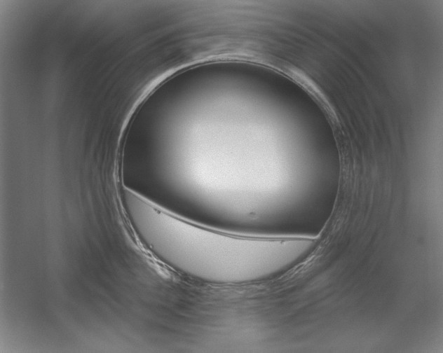 X0000060220956200510280908