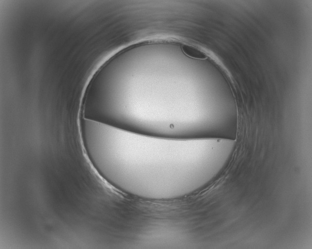 X0000060220959200510280908