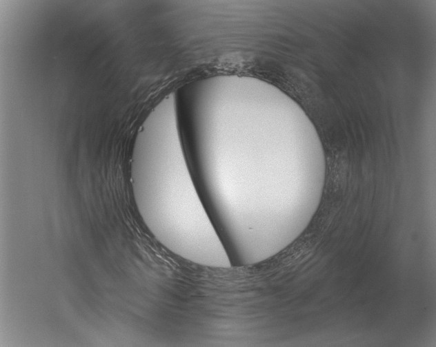 X0000060220962200510280907