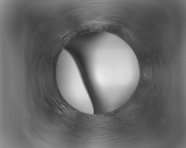 X0000060220964200510280907