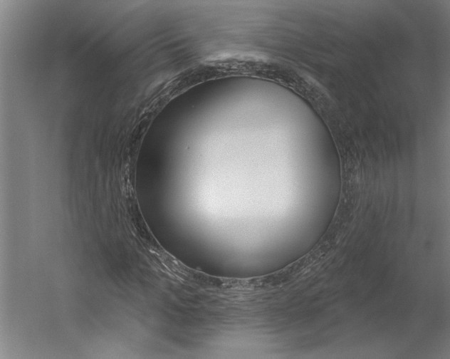 X0000060220965200510280907