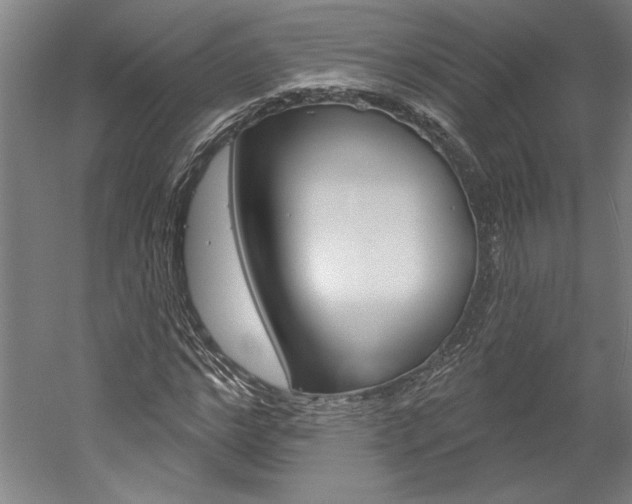 X0000060220968200510280907