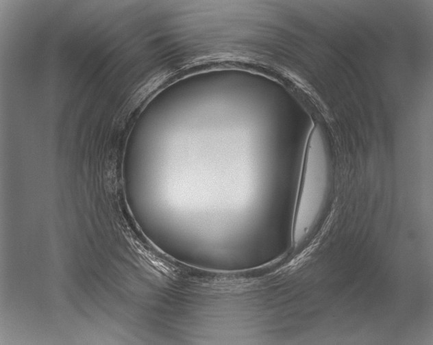 X0000060220977200510280907