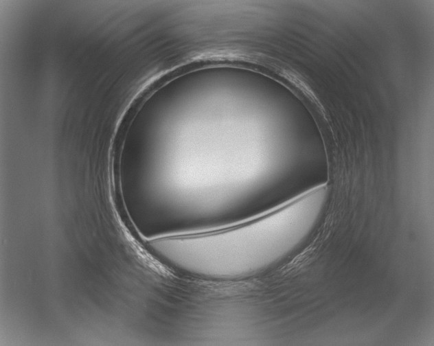 X0000060220984200510280907
