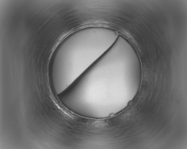 X0000060220986200510280907