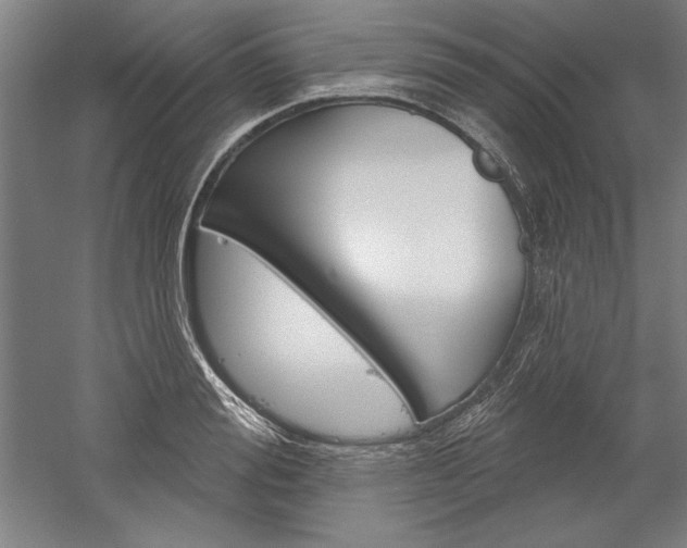 X0000060220988200510280907