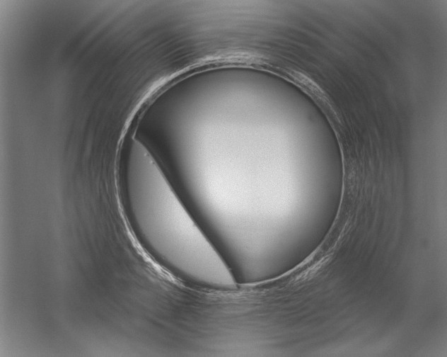 X0000060220989200510280907