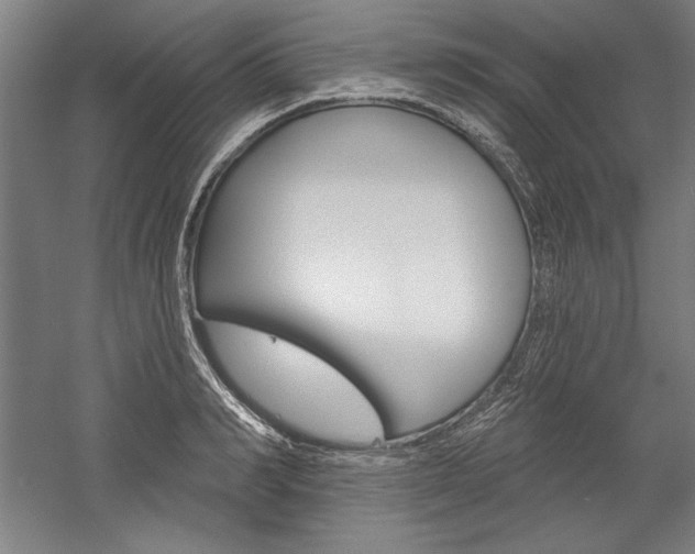 X0000060220990200510280907