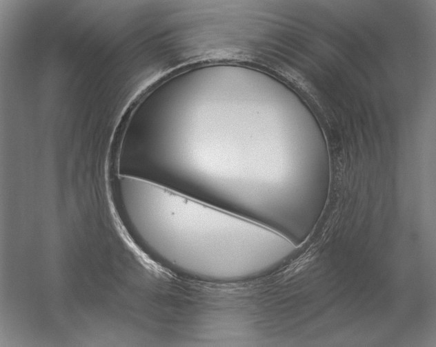 X0000060220991200510280907