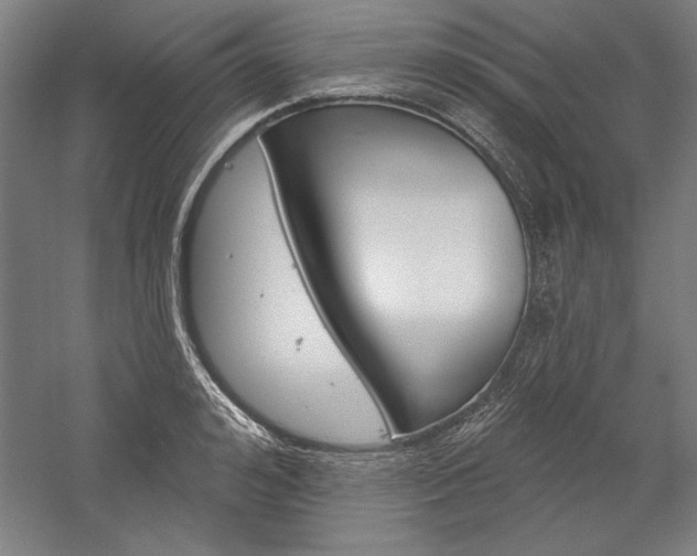 X0000060220992200510280907