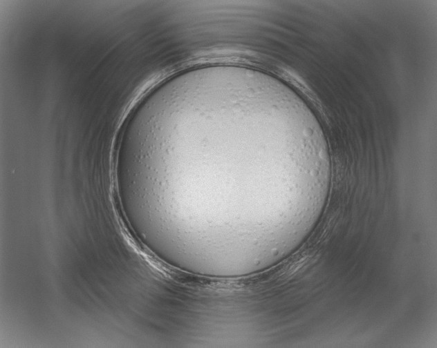 X0000060220994200510280907