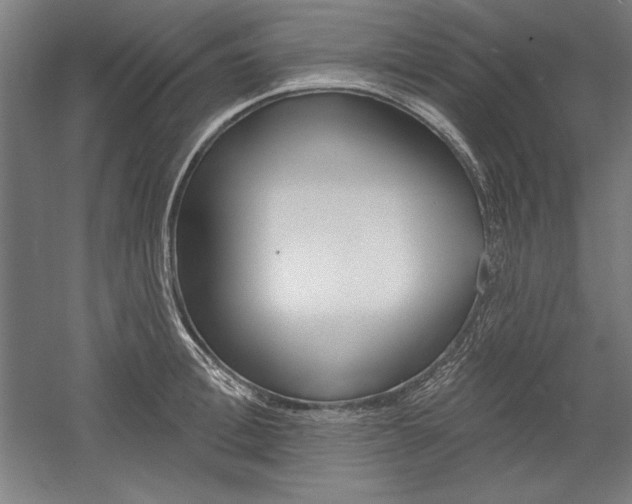 X0000060220996200510280907