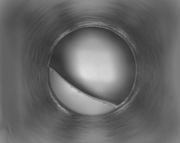 X0000060221001200510280907