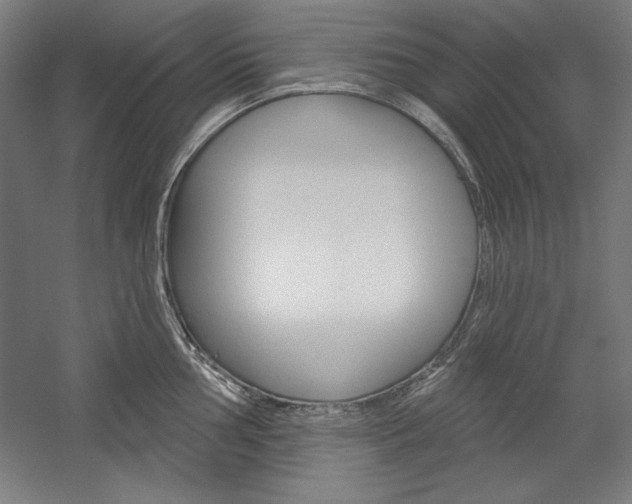 X0000060221002200510280906