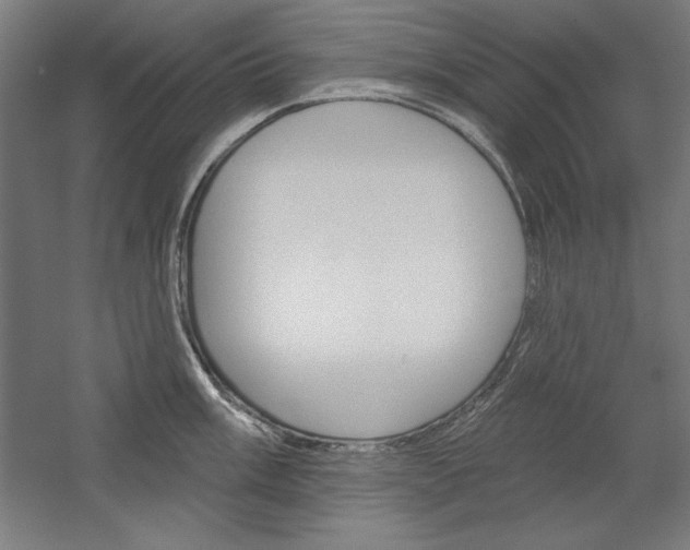 X0000060221003200510280906
