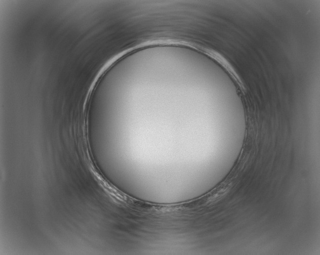 X0000060221004200510280906