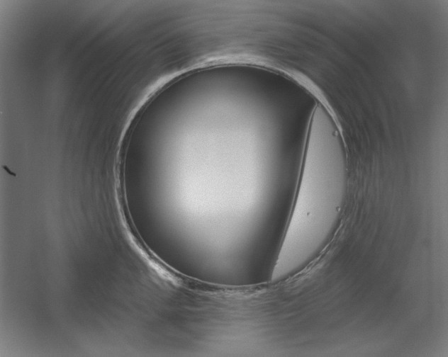 X0000060221005200510280906