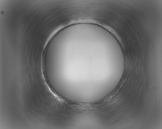 X0000060221006200510280906