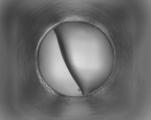 X0000060221008200510280906