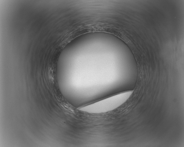 X0000060221010200510280906