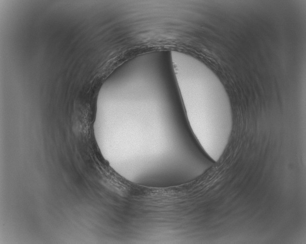 X0000060221012200510280906