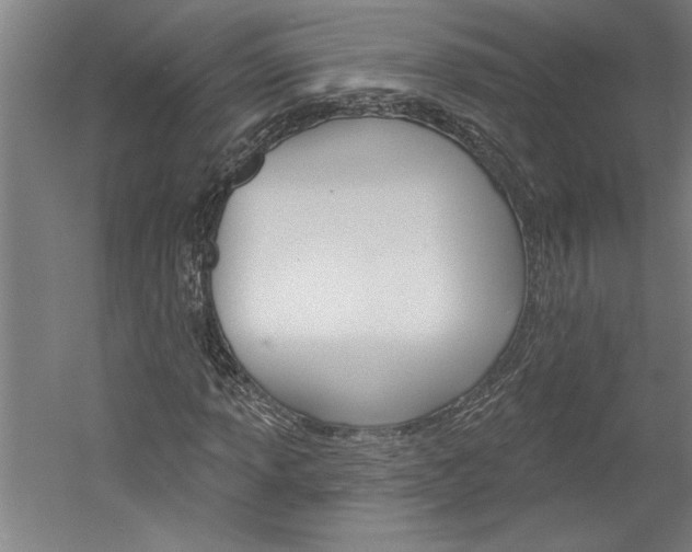 X0000060221013200510280906