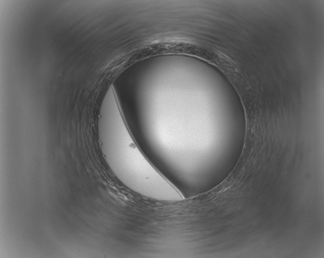 X0000060221014200510280906