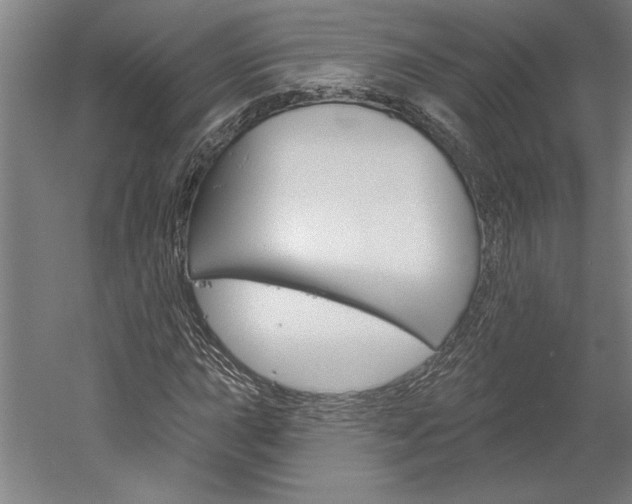 X0000060221015200510280906