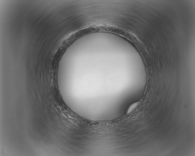 X0000060221016200510280906